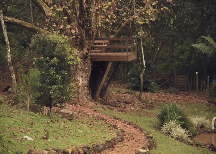 Cabanas Dos Platanos